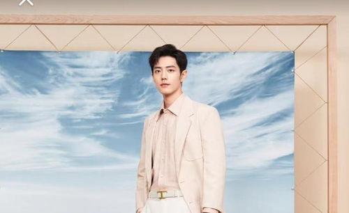 肖战八卦最新爆料,揭秘最新八卦爆料背后的真相